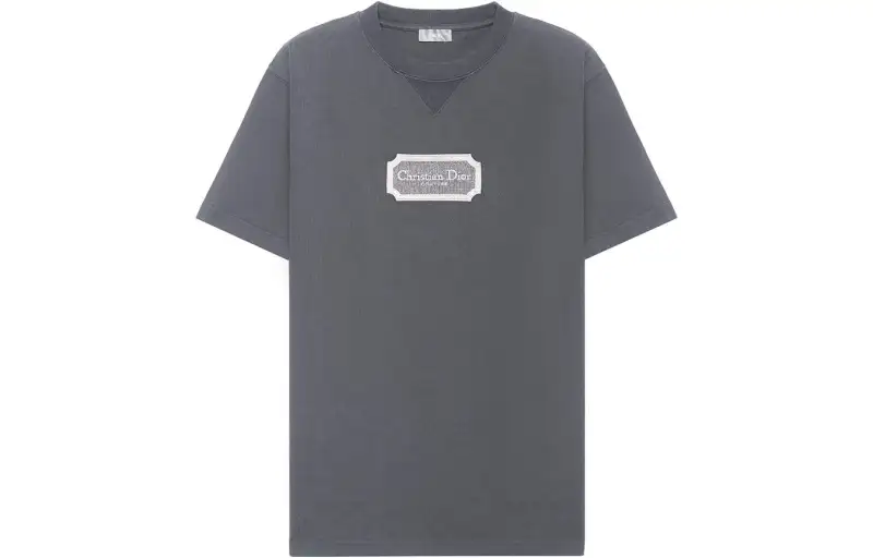 DIOR T Shirts Men's Gray Crew Neck Moderate Straight Fit