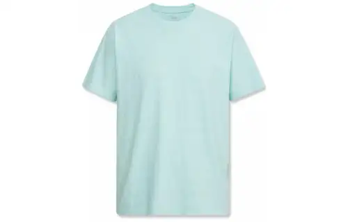 Levis T Shirts Men's Blue Crew Neck Moderate Straight Fit