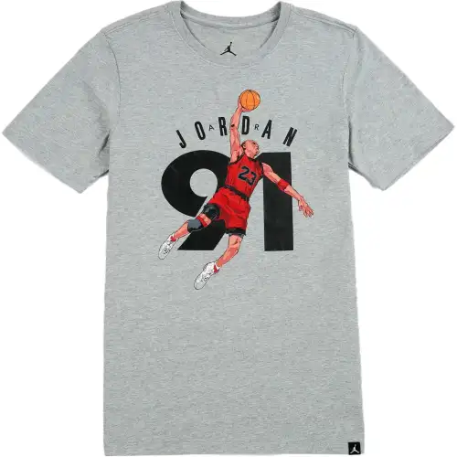 Jordan Air Jordan 6 T Shirts Men's Gray Crew Neck Moderate Straight Fit