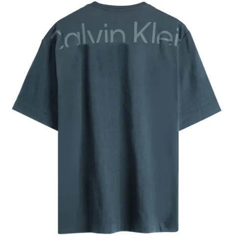 CALVIN KLEIN T Shirt Men's Gray Blue
