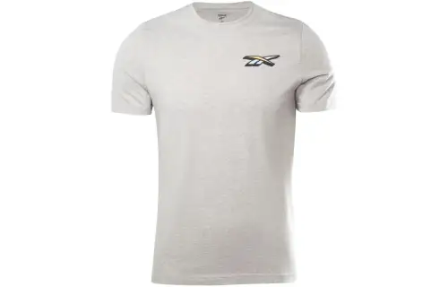 Reebok Seasonal Graphic Tee T Shirt Men's Gray