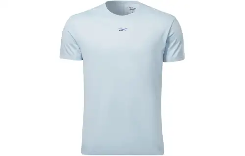 Reebok T Shirt Men's Mountain Wall Gray