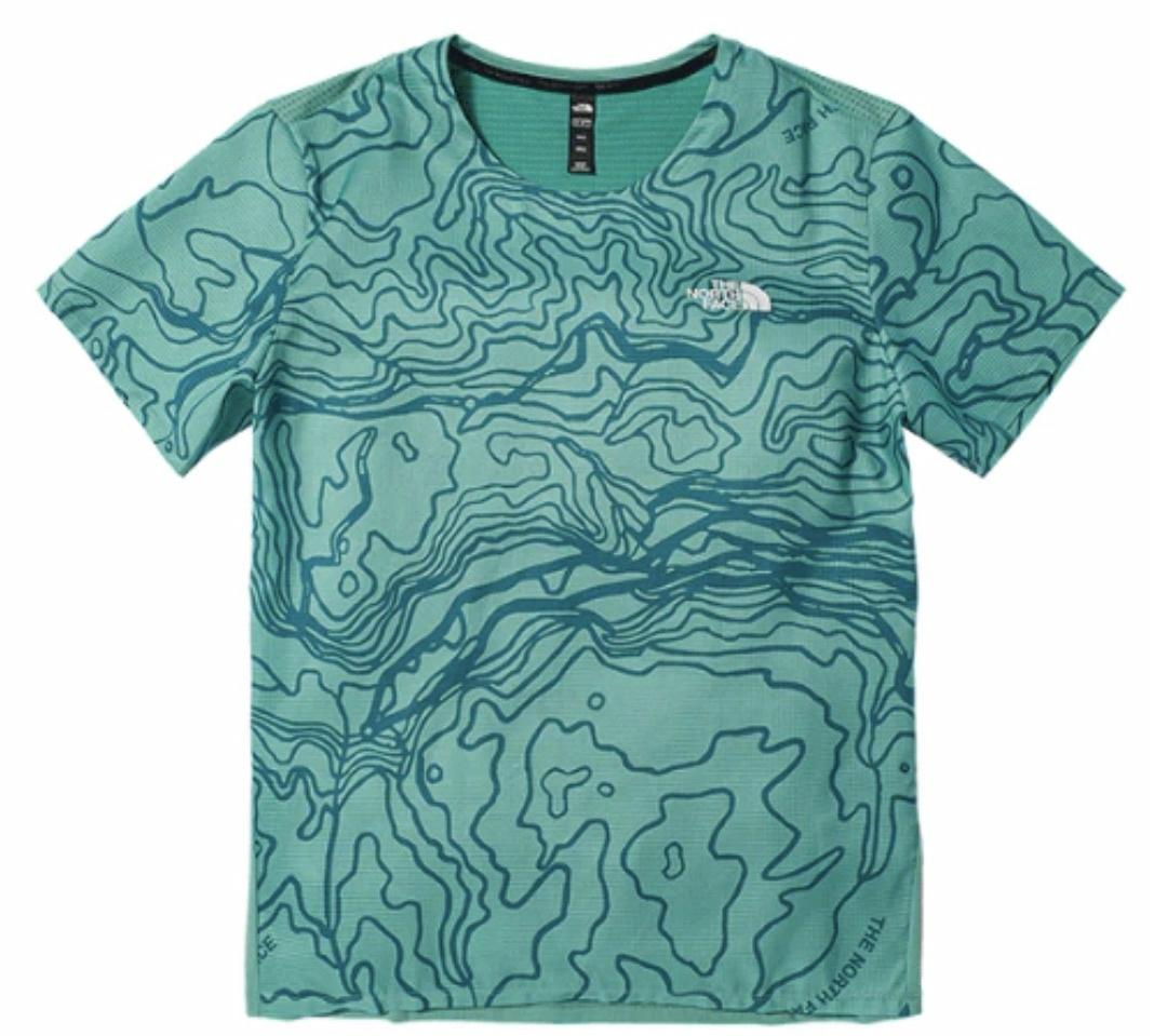 Мужская футболка The North Face LogoT (зеленая)