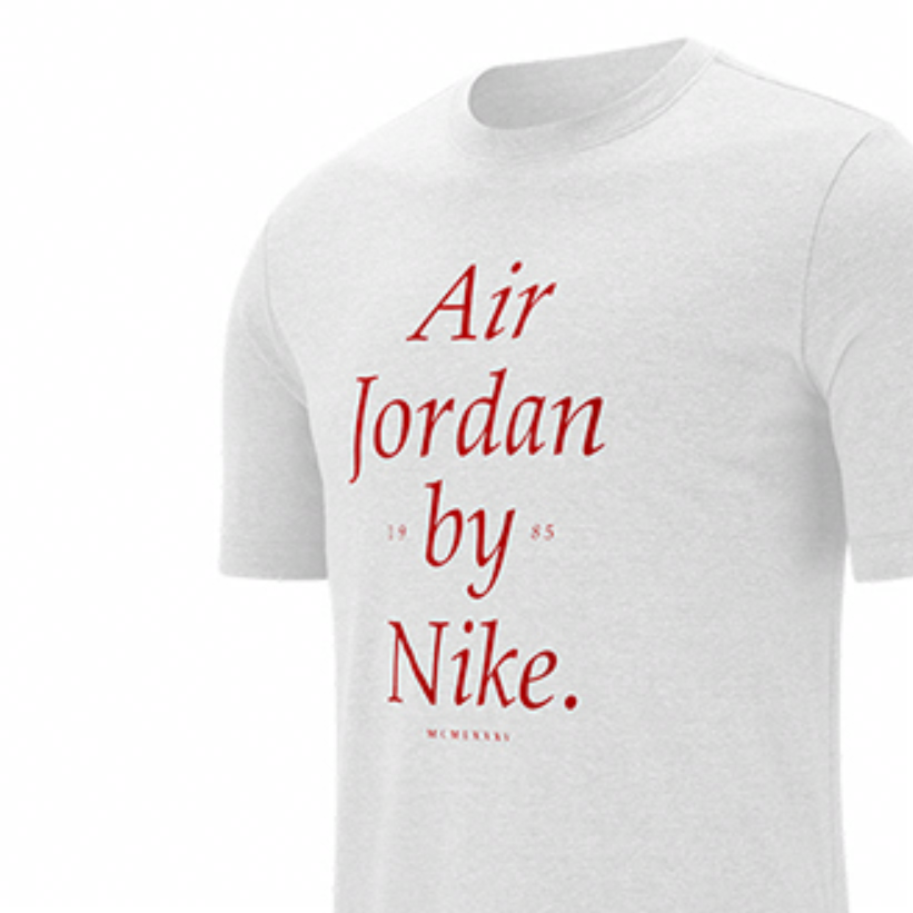 Мужские футболка Jordan Training (белая) — фото 4