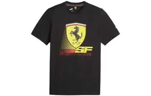 PUMA T Shirts Men's Black Crew Neck Moderate Straight Fit