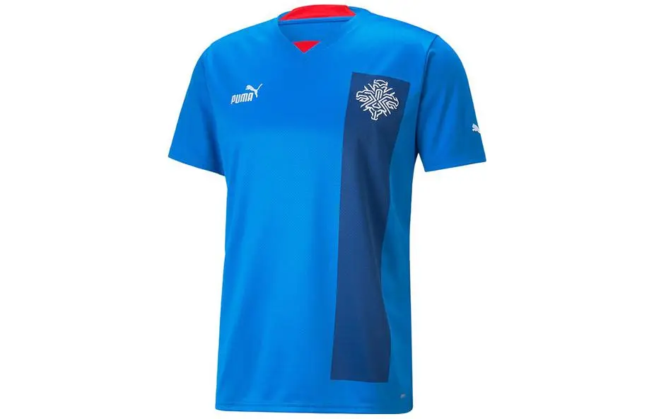 PUMA T-Shirts Men's Blue V-neck Moderate Straight Fit
