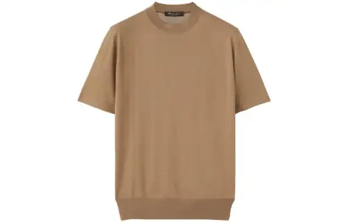 Loro Piana T Shirt Men's Gray Camel
