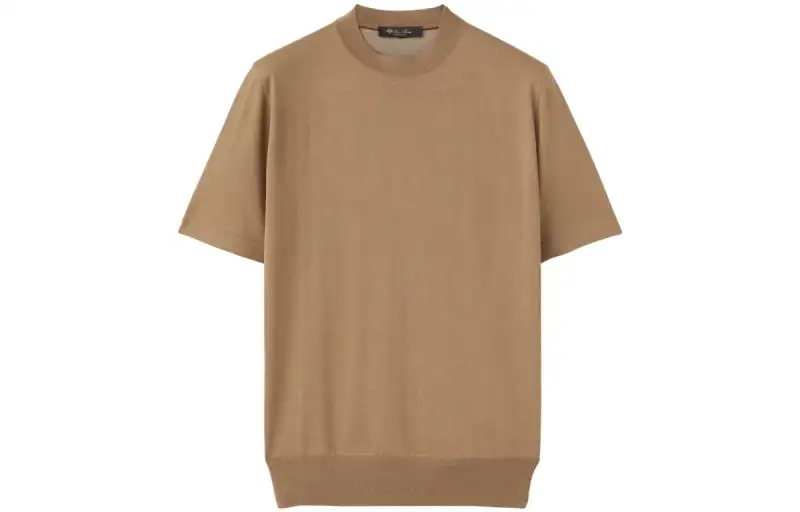 Loro Piana T Shirt Men's Gray Camel
