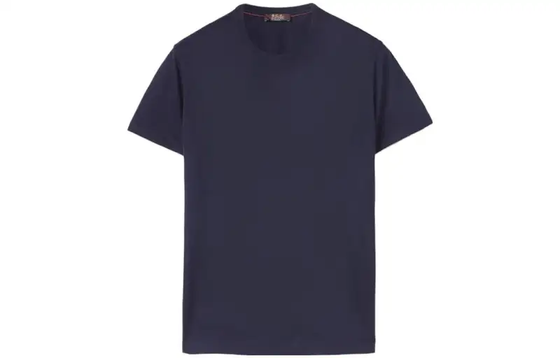 Loro Piana T Shirts Men's Blue Crew Neck Moderate Straight Fit