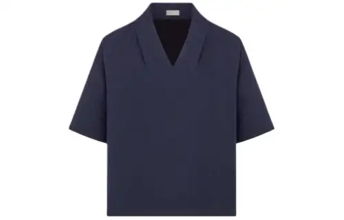 DIOR T Shirts Men's Blue V Neck Moderate Straight Fit
