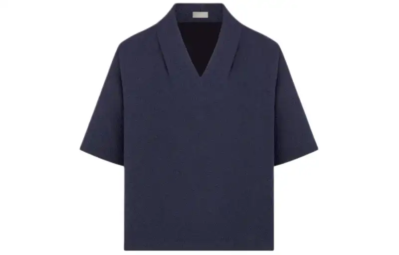 DIOR T Shirts Men's Blue V Neck Moderate Straight Fit
