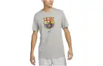 Nike T Shirts Men's Gray Crew Neck Moderate Straight Fit