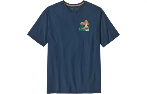 Patagonia Organic T Shirt Men's