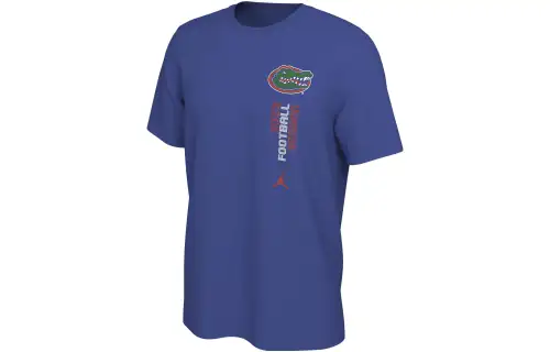 Jordan T Shirts Men's Blue Crew Neck Moderate Straight Fit
