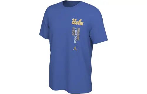 Jordan T Shirts Men's Blue Crew Neck Moderate Straight Fit