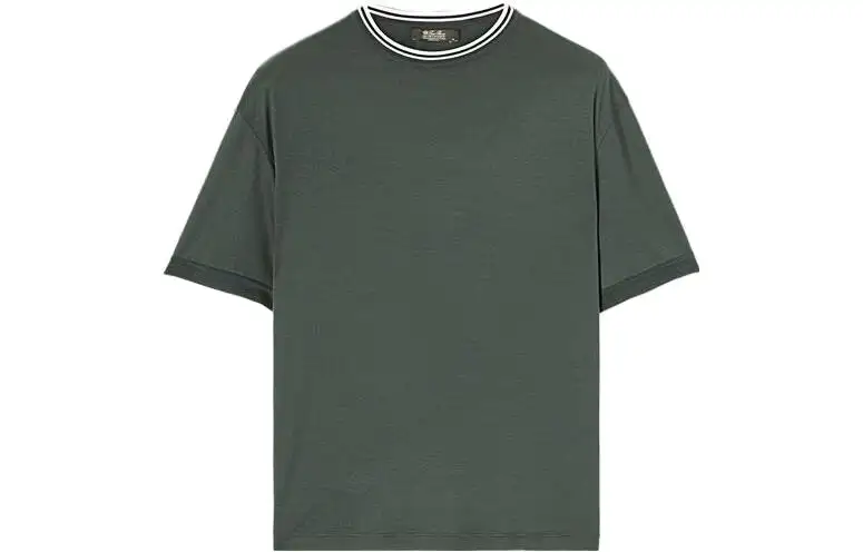 Loro Piana T Shirts Men's Green Crew Neck Moderate Straight Fit