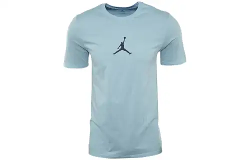 Jordan 24 T Shirts Men's Blue Crew Neck Moderate Straight Fit