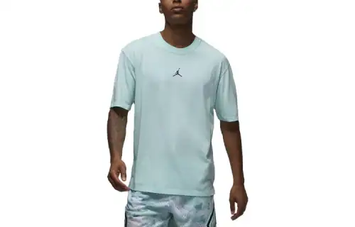 Jordan T Shirts Men's Mineral Blue Crew Neck Moderate Straight Fit