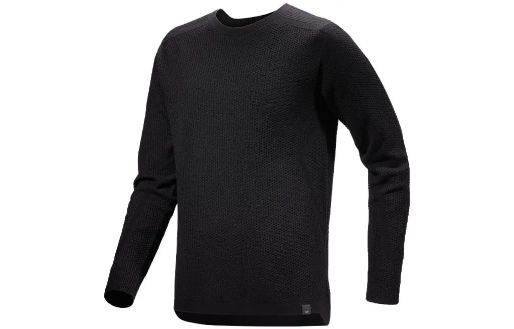 Arcteryx HALLAM T-Shirts Men's Crew Neck Moderate