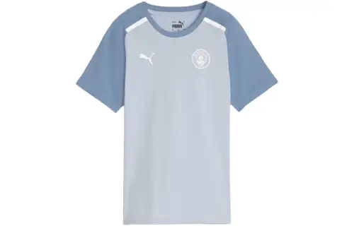 PUMA T Shirt Men's Washable Blue