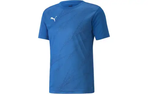 PUMA T Shirts Men's Blue Crew Neck Moderate Straight Fit