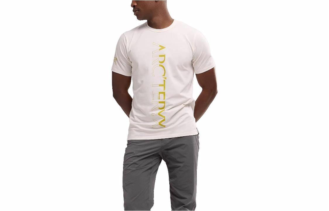 Футболка Arcteryx Downword (серая)