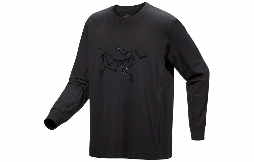 Мужская футболка Arcteryx Envoy Archaeopteryx (серая)