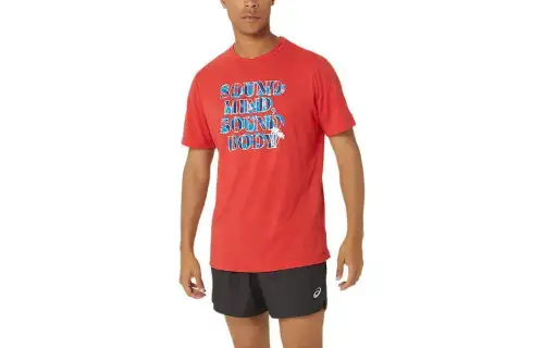 ASICS HIBISCUSSLOGAN T Shirts Men's Red Crew Neck Moderate Straight Fit