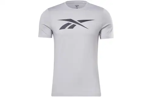 Reebok T Shirts Men's Gray Crew Neck Moderate Straight Fit
