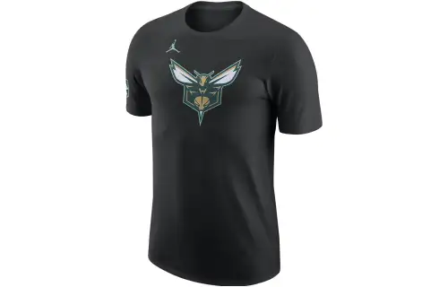 Jordan Charlotte Hornets City Edition Men's Nike Nba T Shirt