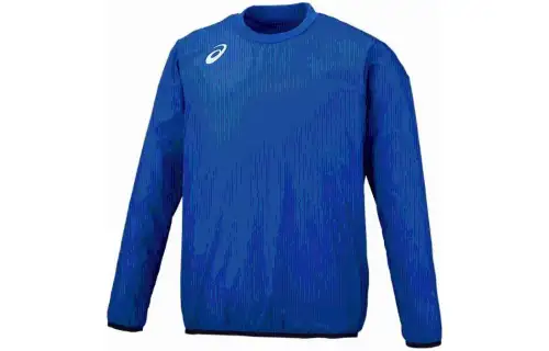 ASICS T Shirts Men's Blue Crew Neck Moderate Other