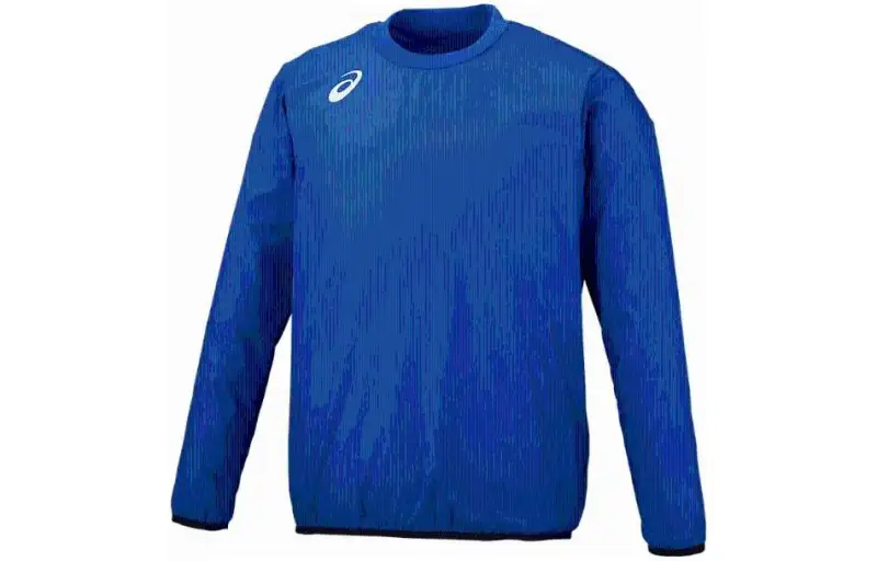 ASICS T Shirts Men's Blue Crew Neck Moderate Other