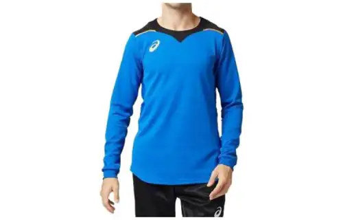 ASICS T Shirts Men's Blue Crew Neck Moderate Other