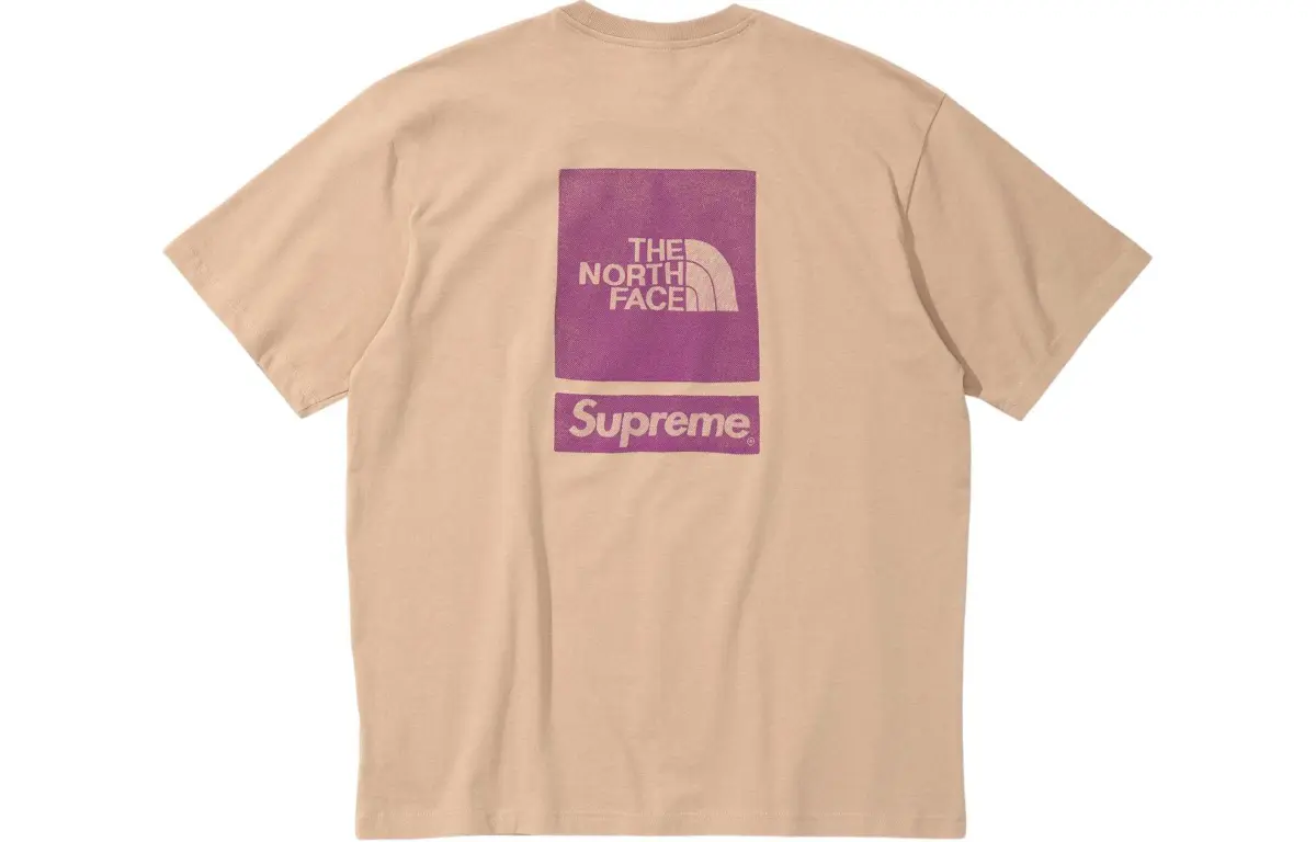 Supreme The North Face S/S Top