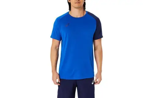 ASICS Mail Delivery T Shirt Men's Blue