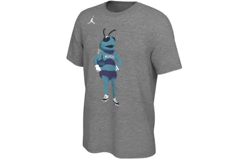 Jordan Charlotte Hornets T Shirt Men's Gray