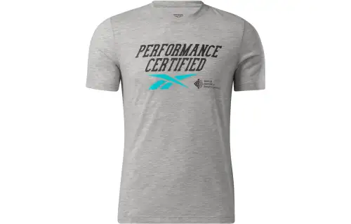 Reebok GS TRAINING STATEMENT T Shirt Men's Gray