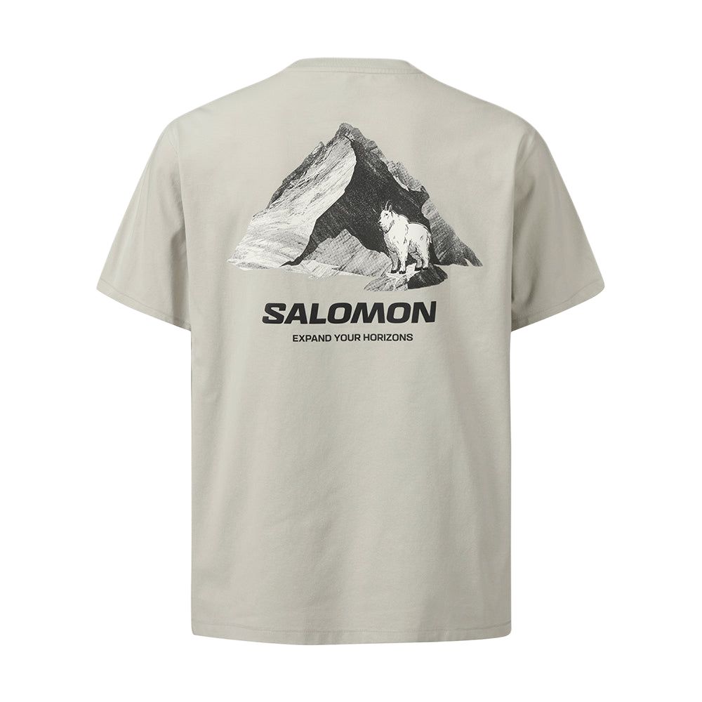 Футболка Salomon Mountain Goat (серая)