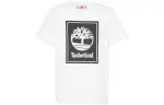 Timberland T Shirts Men's White Crew Neck Moderate Straight Fit