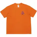 Nike Acg Wildwood T shirt