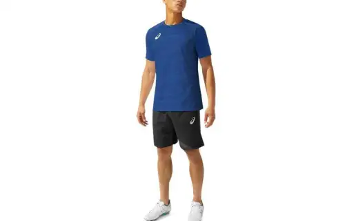 ASICS T Shirts Men's Blue Crew Neck Moderate Straight Fit