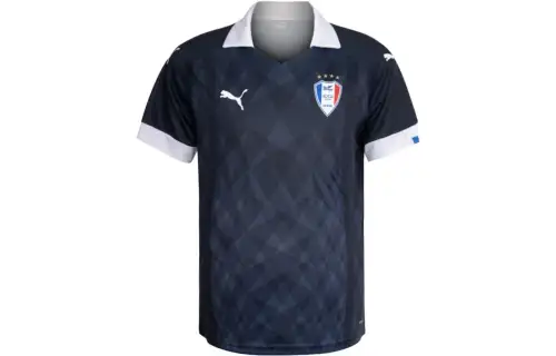 PUMA T Shirts Men's Blue Moderate Straight Fit
