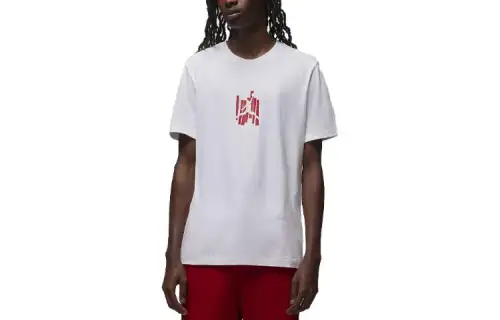 JORDAN Brand Men's Graphic T-Shirt