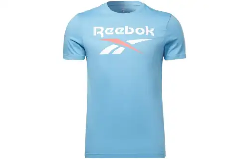 Reebok T Shirts Men's Light Blue Crew Neck Moderate
