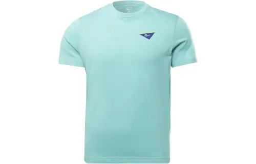 Reebok T Shirts Men's Blue Crew Neck Moderate Straight Fit