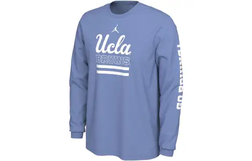 Jordan T Shirts Men's Blue Crew Neck Moderate Straight Fit
