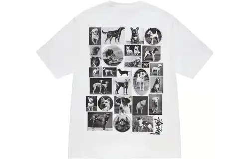 Stussy Kittens Tee