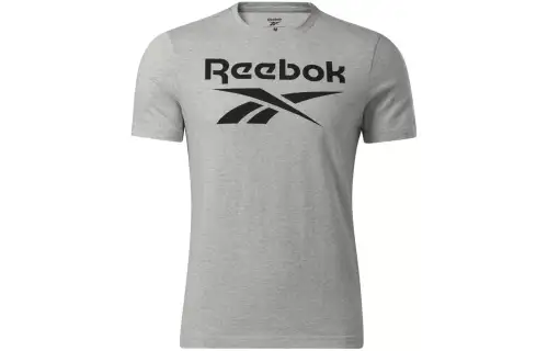 Reebok RI BIG LOGO TEE T Shirt Men's Gray