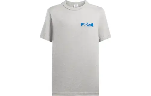 Reebok T Shirt Unisex Light Gray