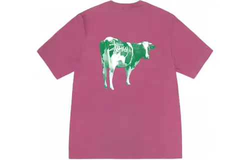Stussy Grassfed T shirt